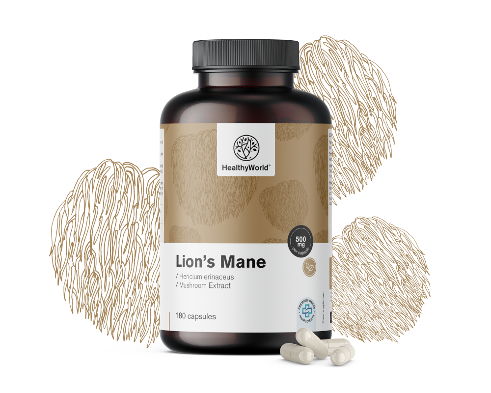 Korálovec ježatý (lví hříva) - houba