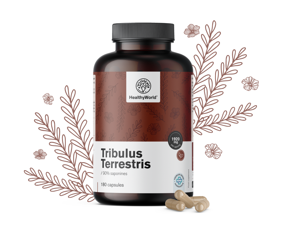 Kotvičník zemní – Tribulus 1920 mg