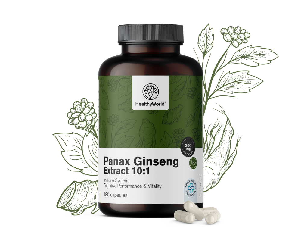 Panax Ginseng 300 mg – výtažek ženšenu 10:1