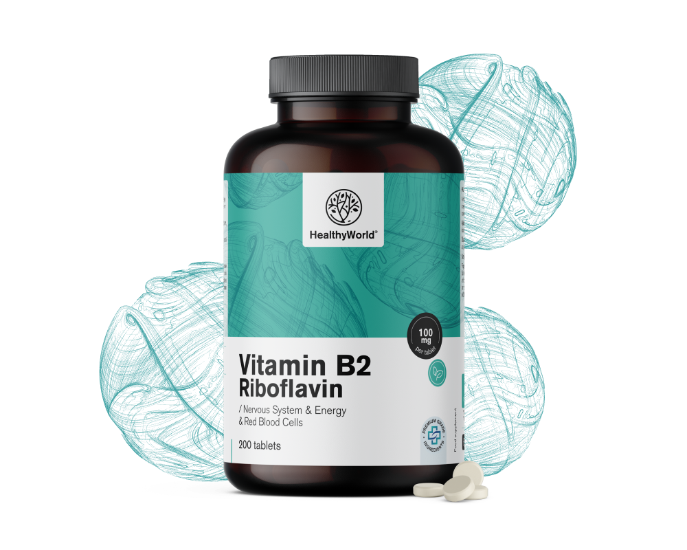 Vitamín B2 - riboflavin 100 mg