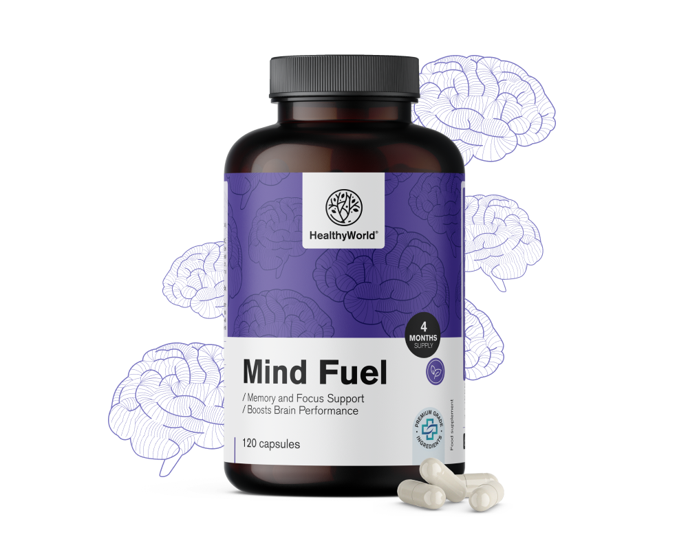 Mind Fuel - paměť a koncentrace