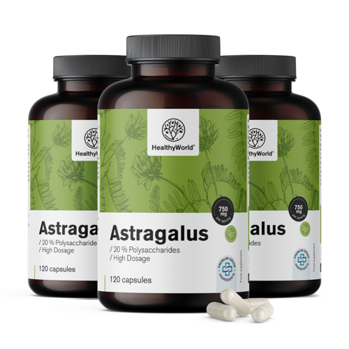 3x Astragalus – výtažek, dohromady 360 kapslí