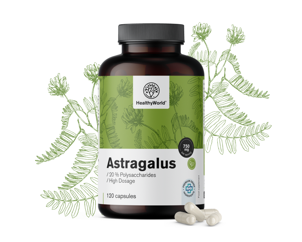 Astragalus – výtažek