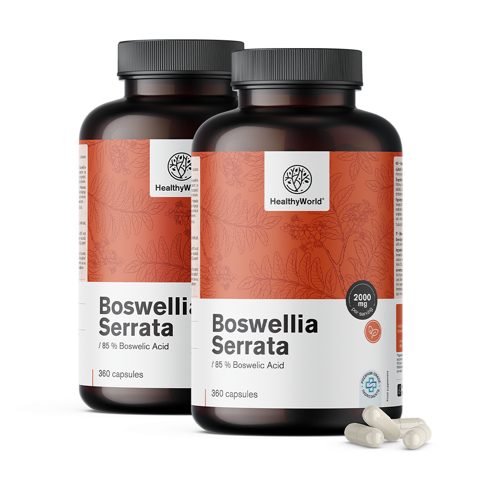 Boswellia (Boswellia Serrata) – 85 % kyseliny boswellové