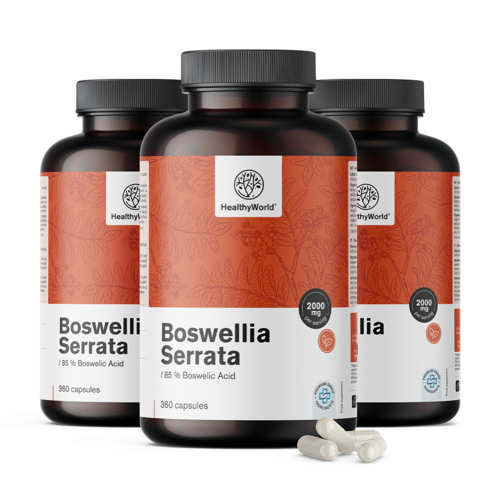 3x Boswellia (Boswellia Serrata) – 85 % kyseliny boswellové, dohromady 1080 kapslí