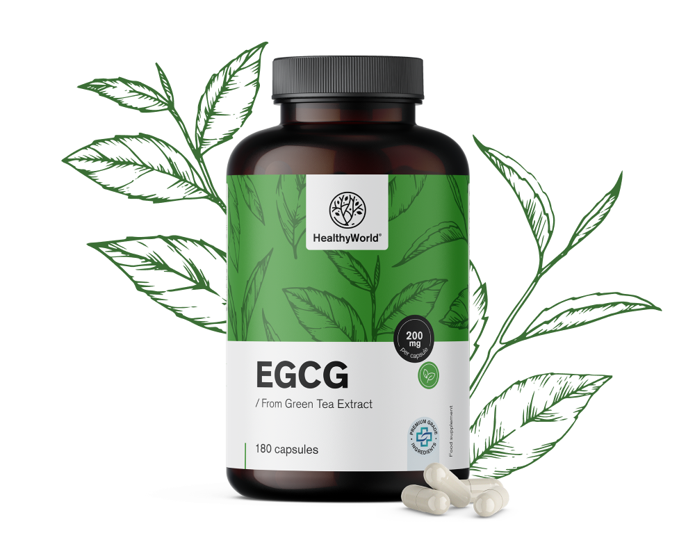 EGCG – z výtažku zeleného čaje