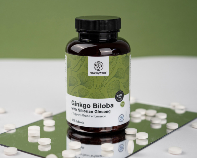 Ginkgo biloba se sibiřským ženšenem 6600 mg